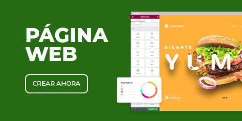 pagina web prosandoval